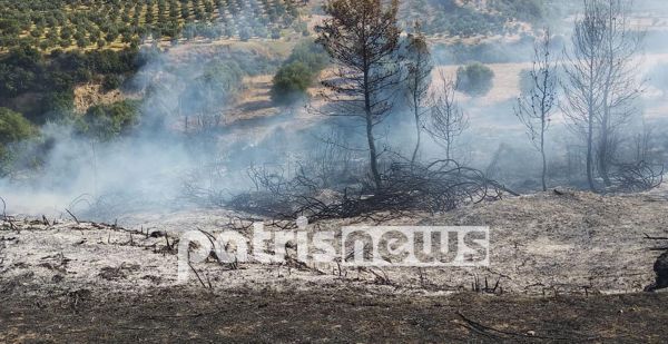 Φωτιά και στην Ηλεία – Τραυματίστηκε αστυνομικός που παρασύρθηκε από πυροσβεστικό όχημα