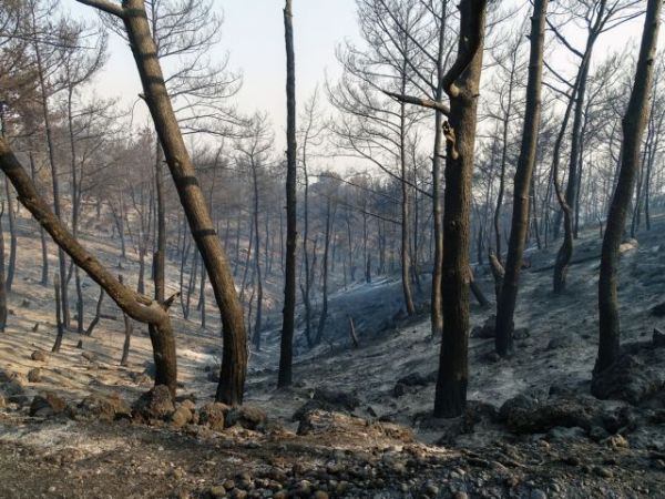 Ρόδος – Να κηρυχθούν σε κατάσταση έκτακτης ανάγκης 7 από τις 10 δημοτικές ενότητες του νησιού