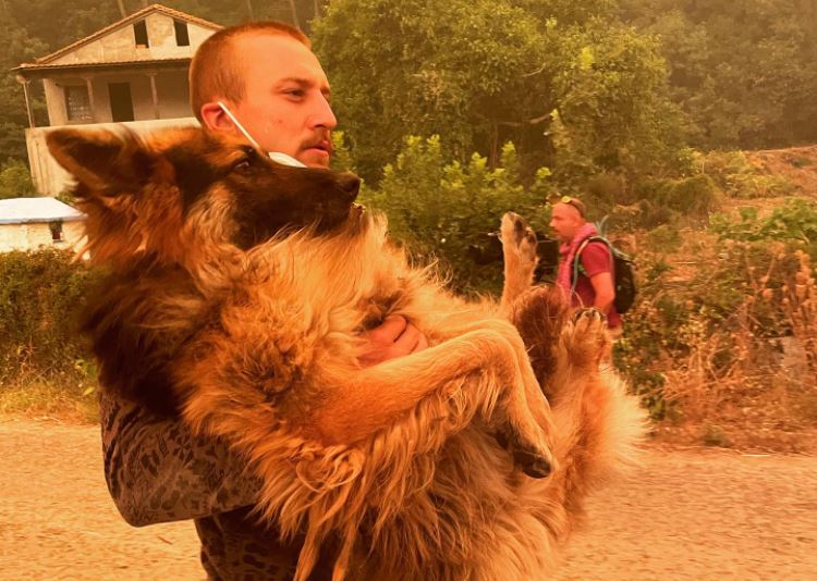 Viral η φωτογραφία εθελοντή να διασώζει λυκόσκυλο που το εγκατέλειψε ο ιδιοκτήτης του