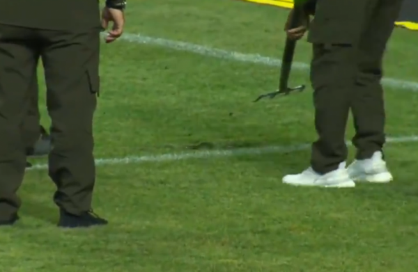 Διακόπηκε προσωρινά το Αχμάτ Γκρόζνι – Σότσι λόγω… φιδιού