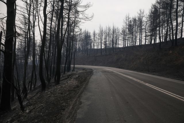 Φωτιά στην Εύβοια - Η βιβλική καταστροφή μέσα από τον φωτογραφικό φακό