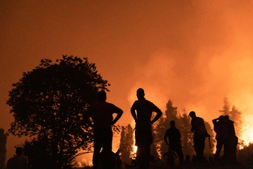 Φωτιά στην Εύβοια – Η μεγαλύτερη καταστροφή όλων των εποχών – Τα ρεκόρ του… τρόμου