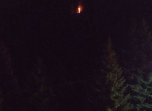 Φωτιά στα Τρίκαλα – Η αναζωπύρωση στα Στουρναραίικα ανησυχεί τους κατοίκους