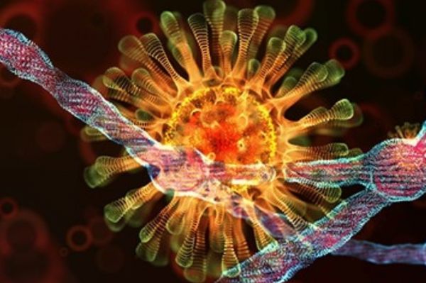 Κοροναϊός – Καμπανάκι από τους επιστήμονες – Πιθανή νέα μετάλλαξη που θα σκοτώνει έναν στους τρεις που μολύνεται