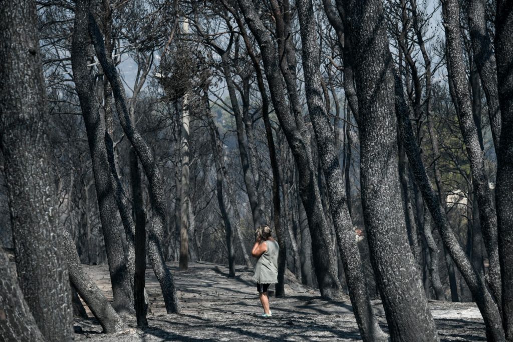 Διαβάστε στο Βήμα – Το «ντόμινο» που κατέκαψε 1.300.000 στρέμματα δάσους