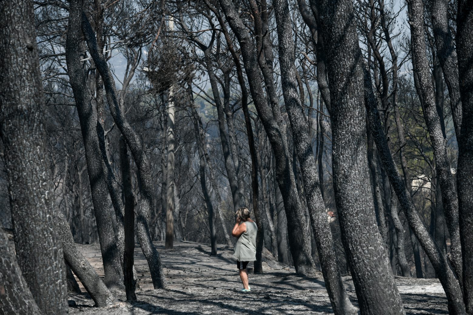 Διαβάστε στο Βήμα - Το «ντόμινο» που κατέκαψε 1.300.000 στρέμματα δάσους