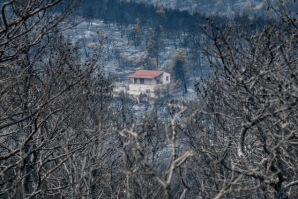 Χρυσοχοΐδης: Οριοθετήθηκε στο μεγαλύτερο μέρος της η φωτιά στα Βίλια – Οι συνθήκες είναι αντίξοες