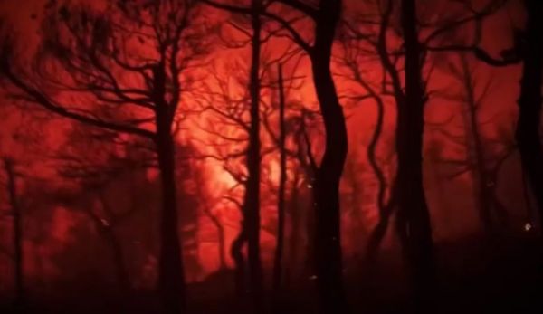 Φωτιά στα Βίλια – Μάχη με τις φλόγες για δεύτερη νύχτα- Καίγεται η κορυφογραμμή του Όρους Πατέρα
