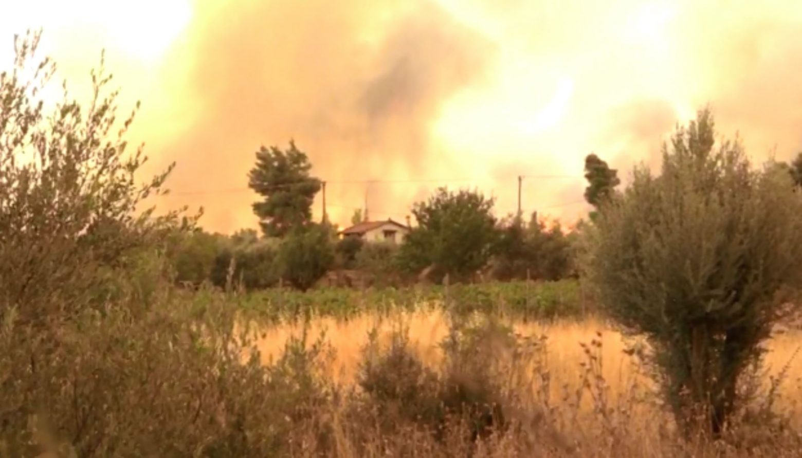 Βίλια - Καίγονται σπίτια - Το πύρινο μέτωπο έχει κυκλώσει τον οικισμό