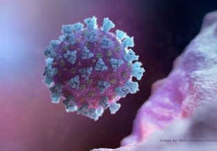 Έρευνα- Μεταδίδεις ευκολότερα τον ιό αφού εμφανίσεις συμπτώματα – Οι πιο «επικίνδυνες» μέρες