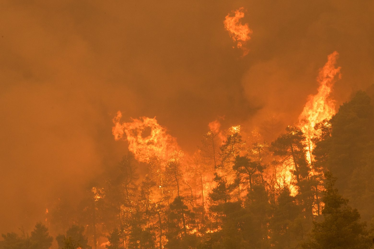 Φωτιά στην Εύβοια - Καρέ-καρέ η εξάπλωση της μεγάλης πυρκαγιάς μέσα από χάρτες της NASA