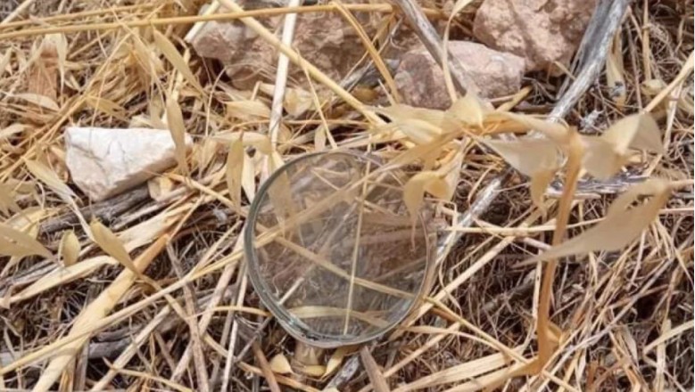 Μεγεθυντικός φακός πάνω σε ξερόχορτα βρέθηκε στους πρόποδες του Υμηττού