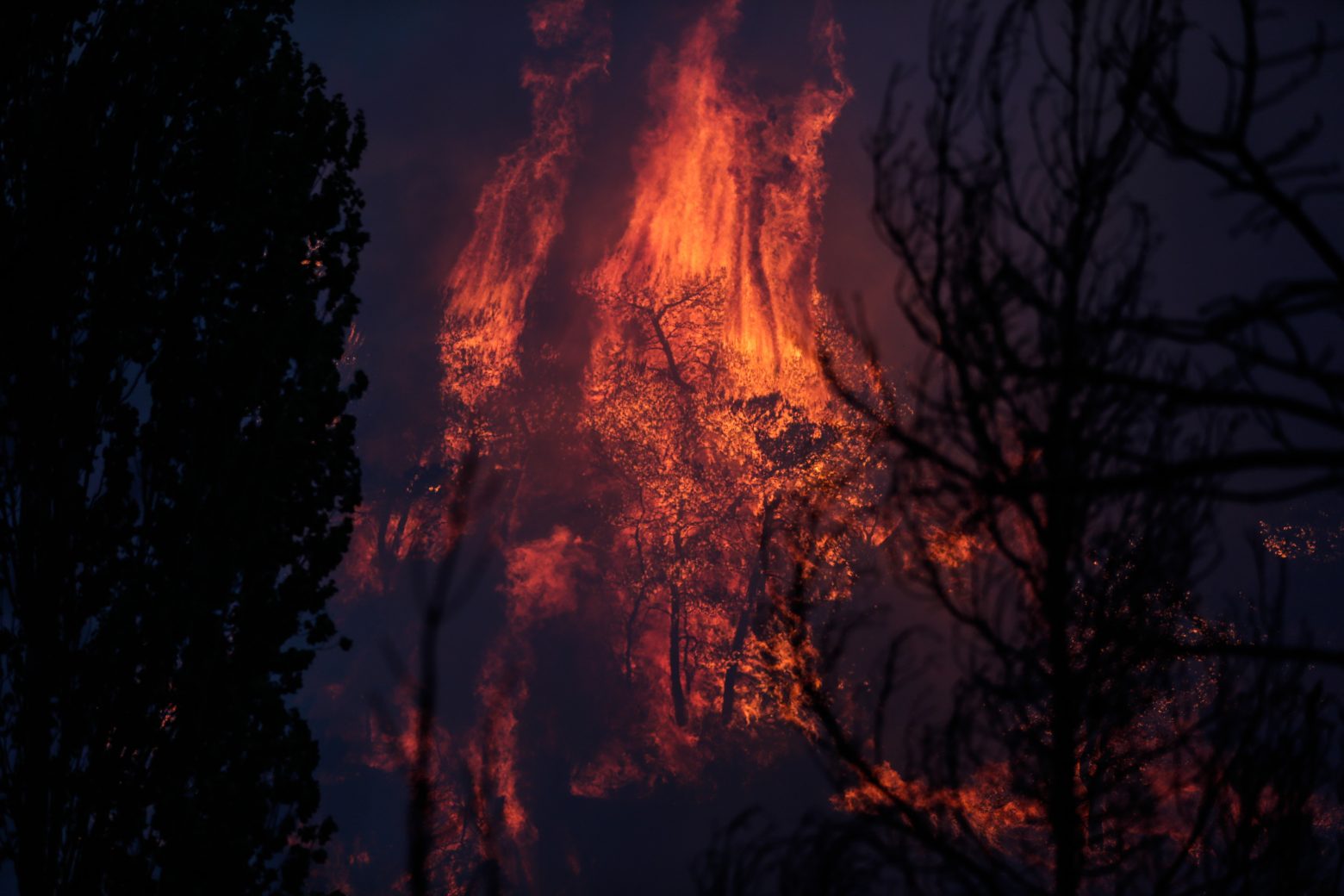 Φωτιά στη Βαρυμπόμπη - Εκκενώνεται μέρος του Κρυονερίου - Πλησιάζουν επικίνδυνα οι φλόγες