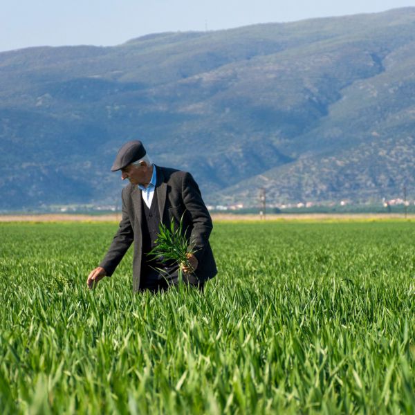 Τα χωριά της Ελλάδας με την ξεχωριστή ματιά 270 Insta-φωτογράφων
