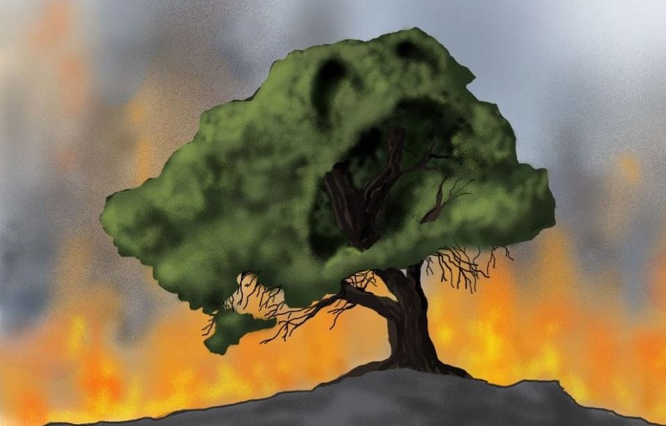 Αρκάς - Συγκλονίζει το σκίτσο του για τις πυρκαγιές που κατακαίουν τη χώρα