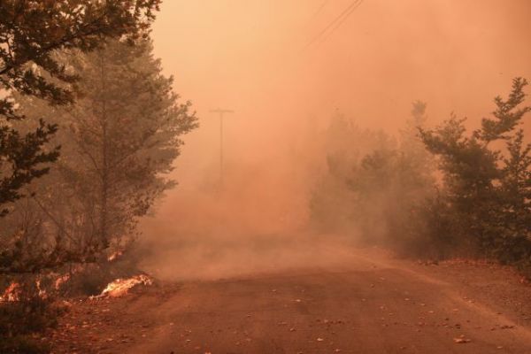 Φωτιά στην Εύβοια – Εικόνες ανείπωτης θλίψης και καταστροφής στo Twitter