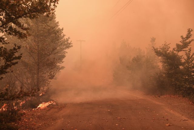 Φωτιά στην Εύβοια – Εικόνες ανείπωτης θλίψης και καταστροφής στo Twitter