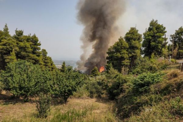 Φωτιά στη Μεσσηνία – Πολύ δύσκολη η κατάσταση – Δύο νέες φωτιές