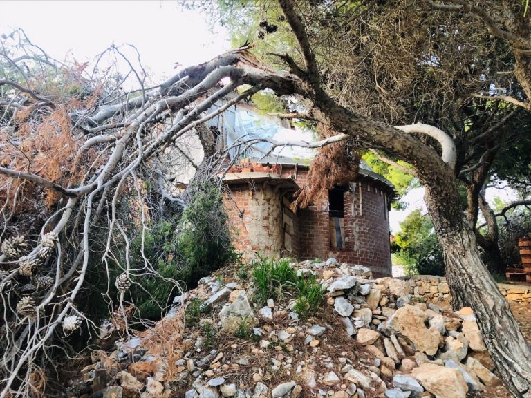 Εργοτάξιο μέσα στο δάσος