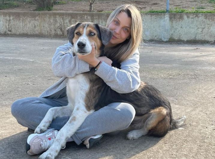 Πύρινος εφιάλτης - Εκκενώθηκε το καταφύγιο ζώων της Κατρίνας Τσάνταλη
