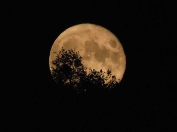 Πανσέληνος Αυγούστου – Ελεύθερη είσοδος σε 120 αρχαιολογικούς χώρους και μουσεία