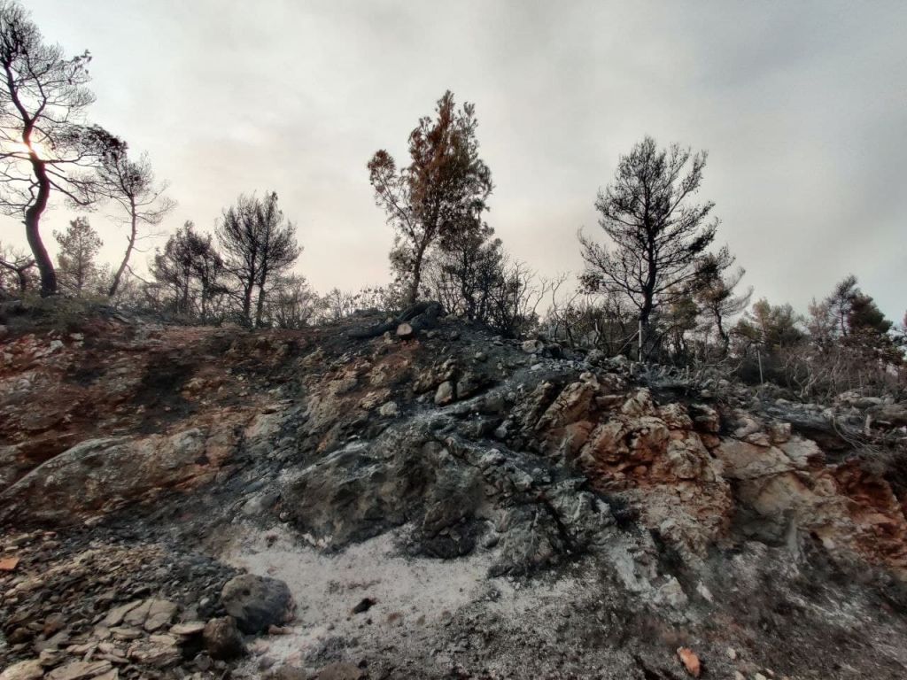 Το in.gr στα καμένα – Συνεχίζεται το οδοιπορικό στην Αττική