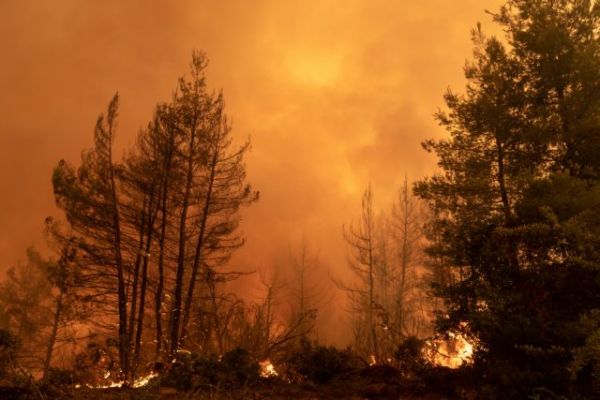 Φωτιές – Κάηκαν 20 εκατ. στρέμματα σε 41 χρόνια – Διαχρονική η «μανία» της πυρκαγιάς σε συγκεκριμένες περιοχές