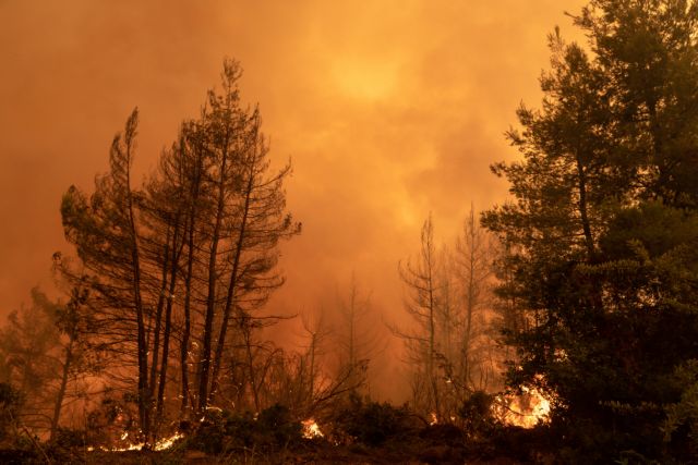 Φωτιές – Κάηκαν 20 εκατ. στρέμματα σε 41 χρόνια – Διαχρονική η «μανία» της πυρκαγιάς σε συγκεκριμένες περιοχές
