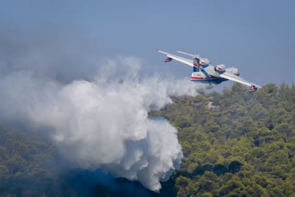 Φωτιές στην Αττική – 11 συλλήψεις και 142 προσαγωγές για εμπρησμούς