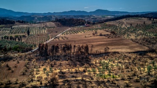 Φωτιές – Απαλλάσσονται από τον ΕΝΦΙΑ και τα αγροτεμάχια που καταστράφηκαν από τις πυρκαγιές