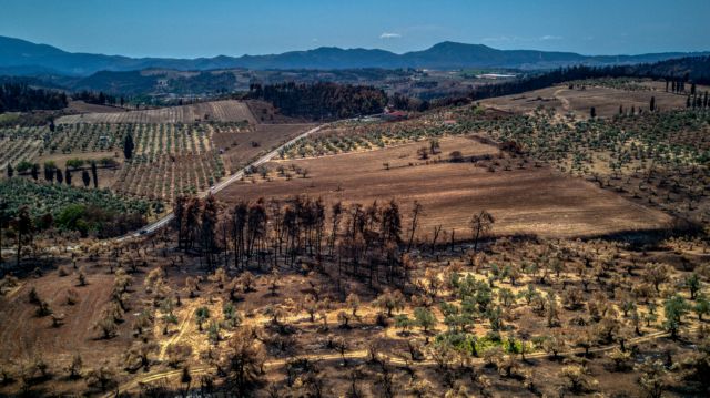 Φωτιές – Απαλλάσσονται από τον ΕΝΦΙΑ και τα αγροτεμάχια που καταστράφηκαν από τις πυρκαγιές