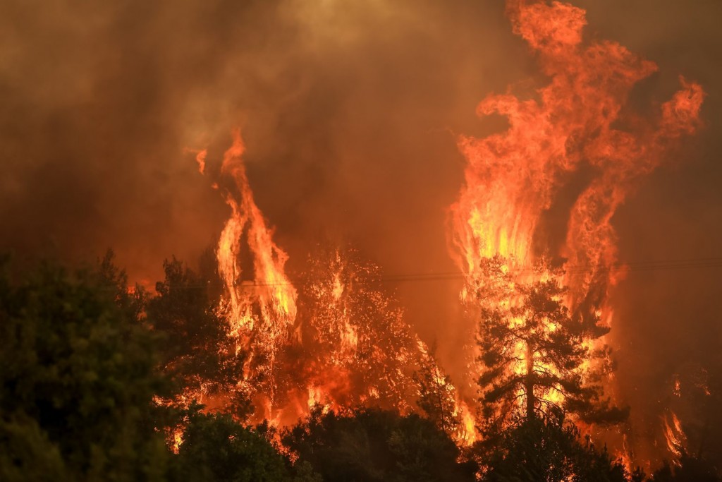Φθιώτιδα – Μάχη με τις φλόγες στο Λογγίτσι – Απειλούνται σπίτια