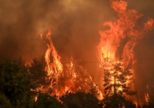 Φθιώτιδα – Μάχη με τις φλόγες στο Λογγίτσι – Απειλούνται σπίτια