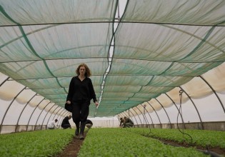 Η Γη της Ελιάς spoiler – O Δημήτρης δίνει εντολή στον Ανέστη να βγάλουν τη Μυρτάλη από τη μέση, μια και καλή