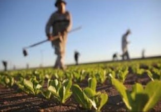 Νέα  σήματα AGRO από τον ΕΛΓΟ Δήμητρα