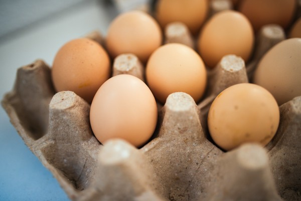 Βρέθηκε η μαθηματική εξίσωση που περιγράφει το αυγό