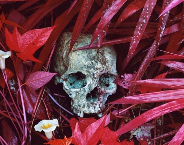 Richard Mosse – Ο πολεμικός φωτογράφος με την γουορχολική ματιά