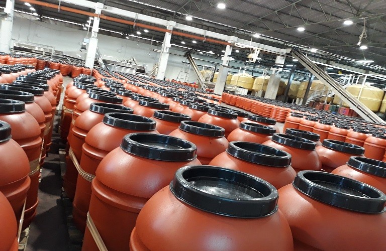 Ξεκινά η παραλαβή ελιών στην Ένωση Αγρινίου