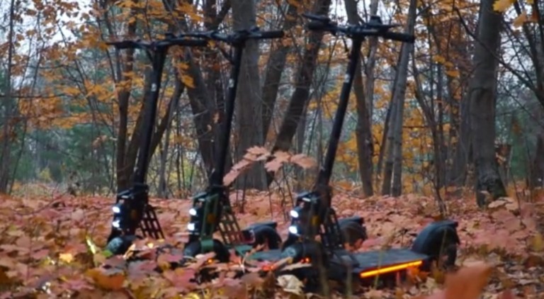 Ρωσία – Νεκροί τέσσερις επιβάτες του αεροσκάφους που προσγειώθηκε σε δάσος