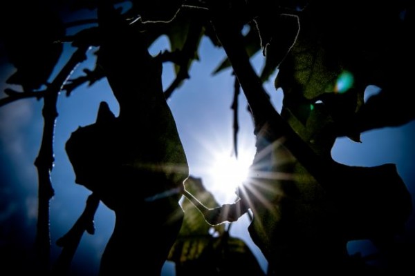 Καλοκαιρινός ο καιρός – Ανεβαίνει κι άλλο η θερμοκρασία