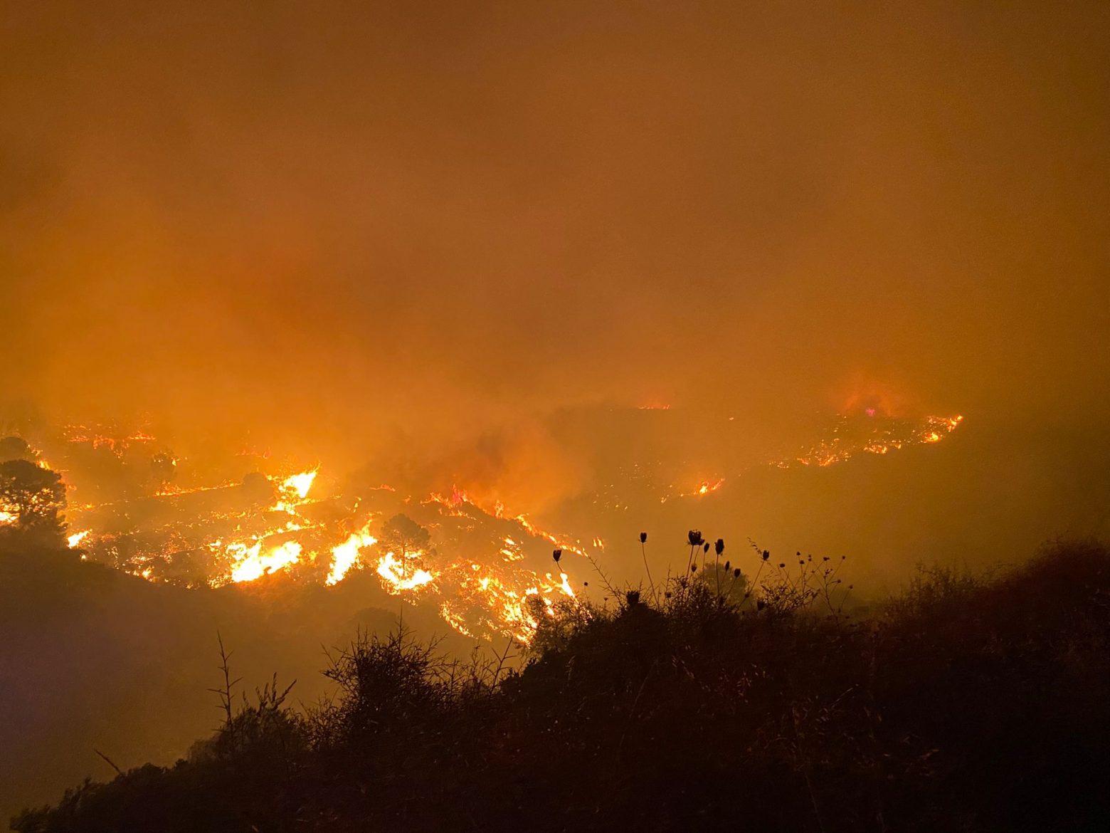 Ισπανία - Μεγάλη πυρκαγιά στο θέρετρο Εστεπόνα - 500 άνθρωποι εγκατέλειψαν τις εστίες τους