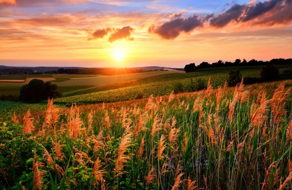 Συμφωνία για την αγροτική μεταρρύθμιση της ΕΕ     