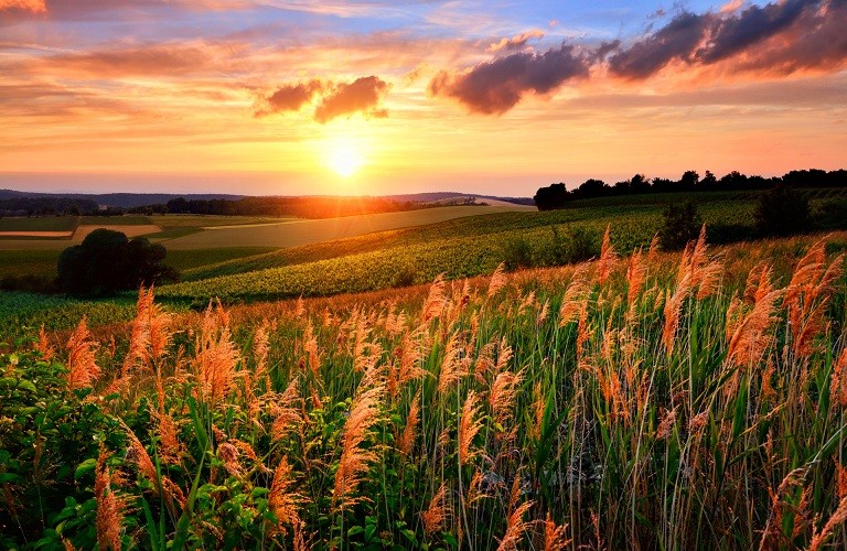 Συμφωνία για την αγροτική μεταρρύθμιση της ΕΕ     