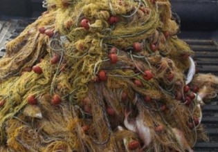 Πήλιο – Γιατί ο ψαράς που βρήκε νεκρό αγνοούμενο ψαροντουφεκά… τον ξαναπέταξε στη θάλασσα