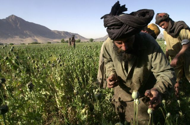 Αφγανιστάν – Οι Ταλιμπάν θα συνεχίσουν να «πλημμυρίζουν» με όπιο τη Δύση