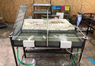 Εξαρθρώθηκε εγκληματική οργάνωση που έφερνε ποτά «μπόμπες» από τη Βουλγαρία – Πώς δρούσε