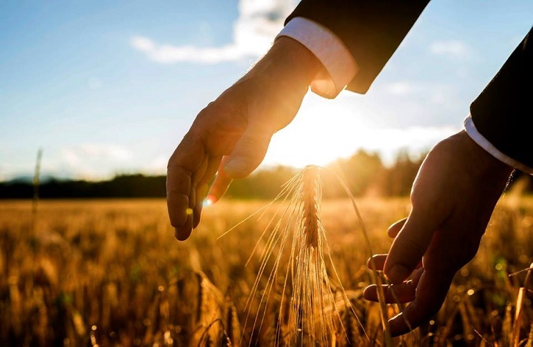 Έρχεται νέος διαγωνισμός καινοτομίας στην αγροδιατροφή – Σε ποιους απευθύνεται