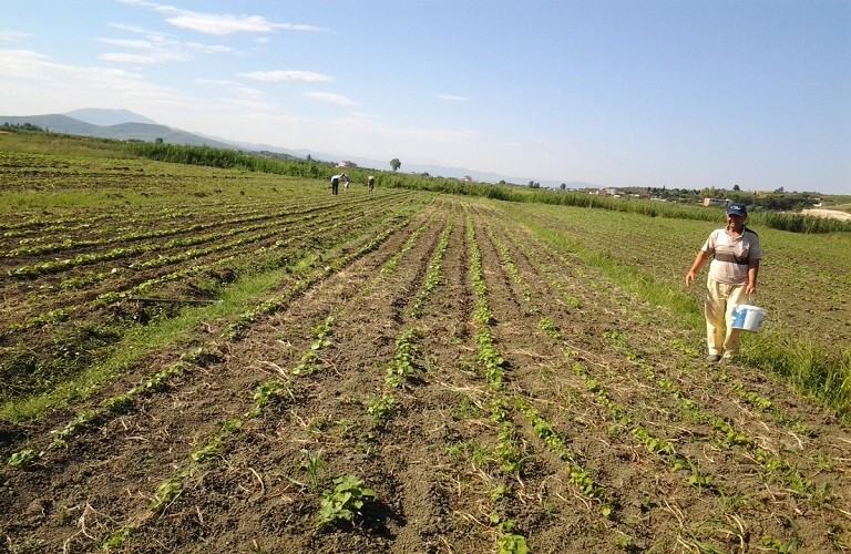 Μειωμένες χρεώσεις ΕΤΜΕΑΡ – Λήγει η προθεσμία υποβολής αιτήσεων από αγρότες