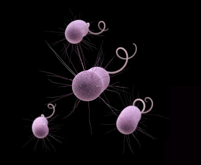 Ελπίδες για εμβόλιο όλων των κοροναϊών που αντέχει τη ζέστη