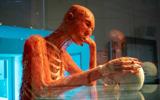 Body Worlds – Άνοιξε τις πόρτες της η συναρπαστική έκθεση με τα ανθρώπινα σώματα
